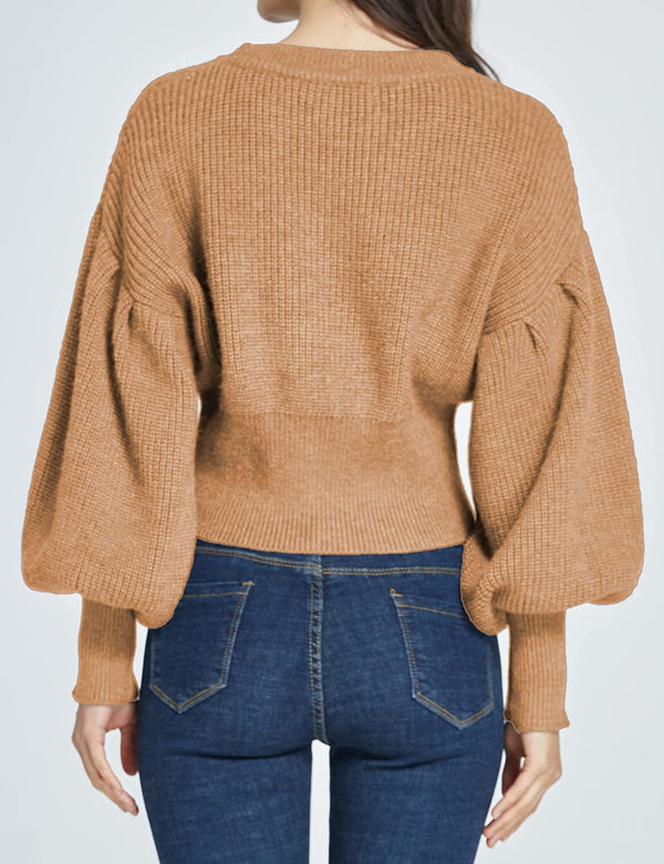 SSLR Cropped Crewneck Knitted Women's Sweaters